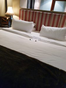 GRANNY MOUSE DELUXE SUITE