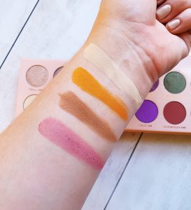 PIERRE RENE PINCH ME PALETTE