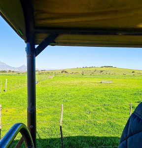 DE GRENDEL PROPOSAL HILL